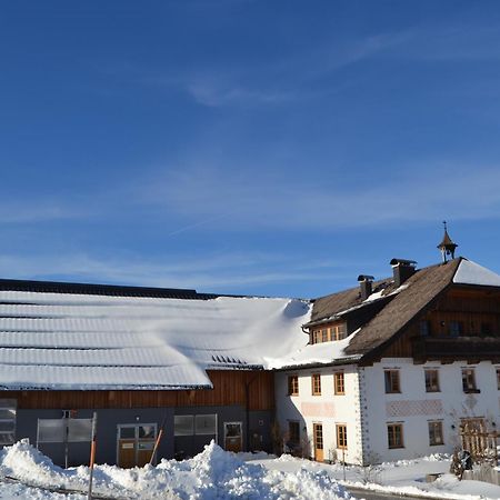 Vorderreithbauer Lejlighed Hof bei Salzburg Eksteriør billede