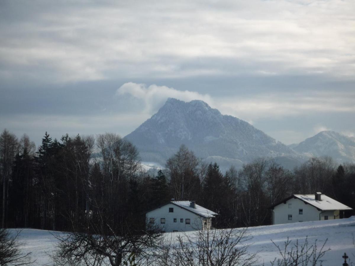 Vorderreithbauer Lejlighed Hof bei Salzburg Eksteriør billede